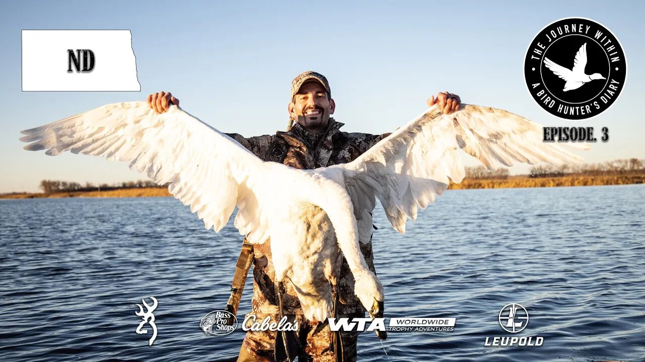 Tundra Swan Down: North Dakota | The Journey Within - Waterfowl Slam