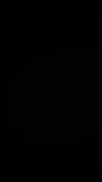 Major league screw up by the Democrats