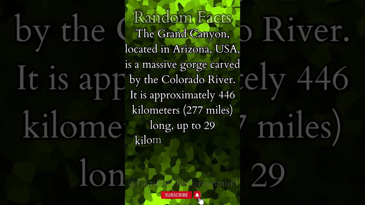 Incredible Random Facts That Will Expand Your Mind! [2023] #shorts #facts #viralshorts #fyp #life