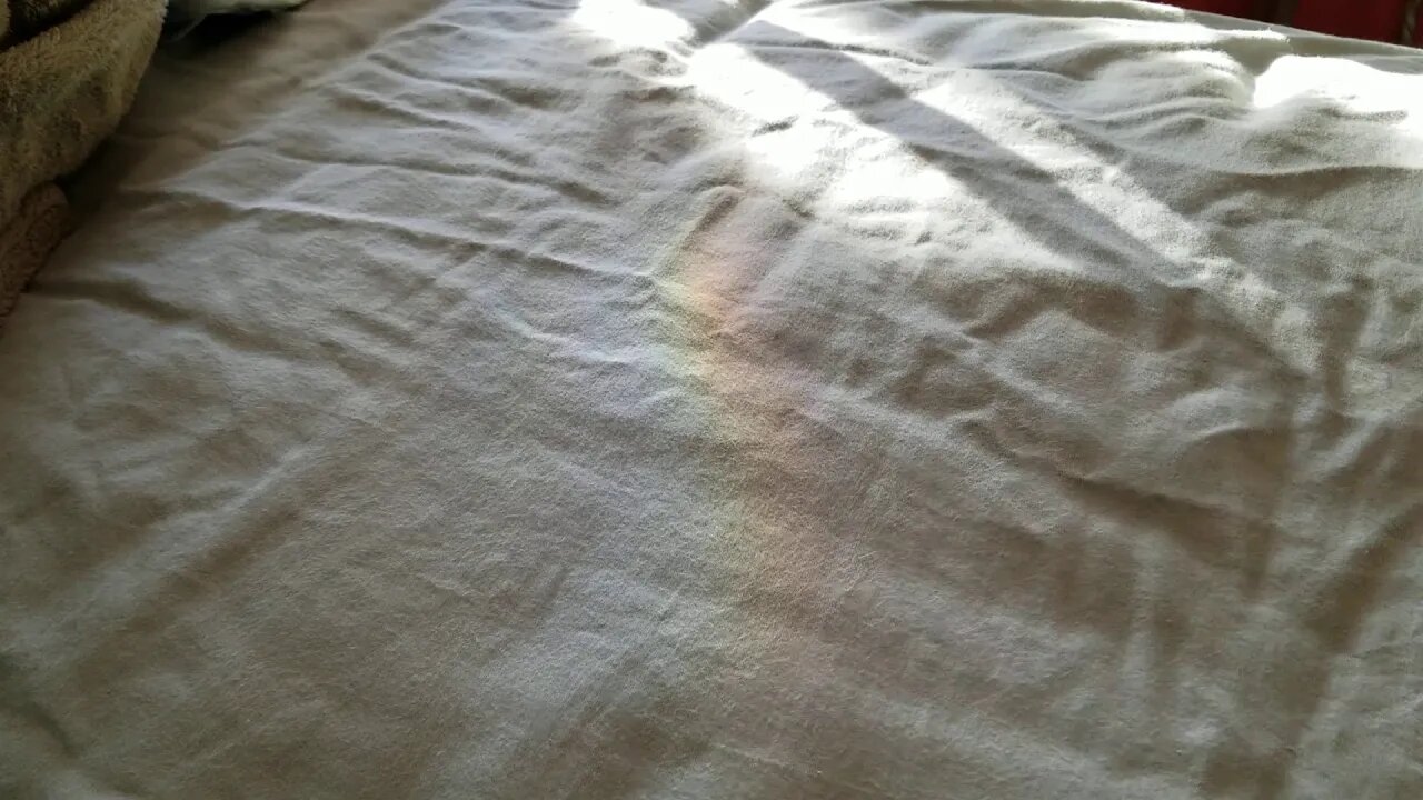 December 2019 Message to the Lightworker Collective - After the Storm Comes the Clearing