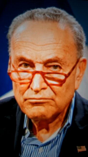 Schumer's mug shot for honorable goon hat awards banguet