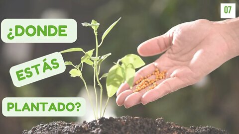 ¿DONDE ESTAS PLANTADO? - CMP - MIRA EL VIDEO COMPLETO