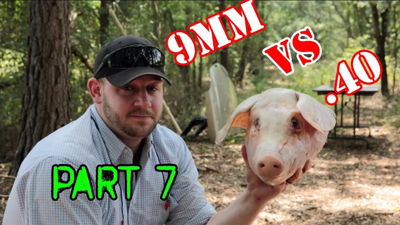 9mm vs 40 cal: Pig Head Test