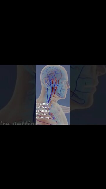 Respiratory System Functions #short