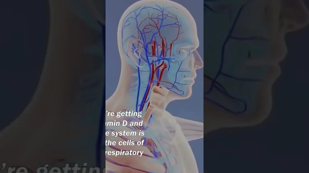 Respiratory System Functions #short