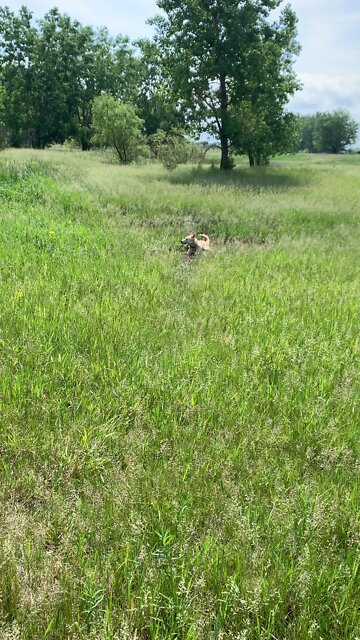 Mud bath with soothing bird sounds