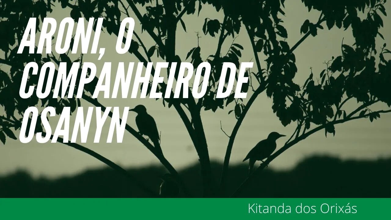 ARONI , companheiro de OSANYN ( OSANHE)