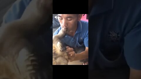 kura kura 😳