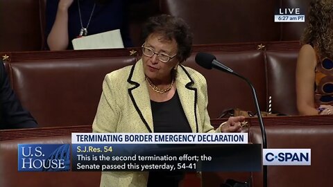 Congress Debates Ending The National Emergency At The U.S. Southern Border