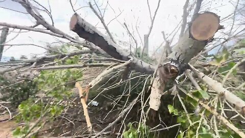 Windy in New Mexico Monday October 2nd 2023