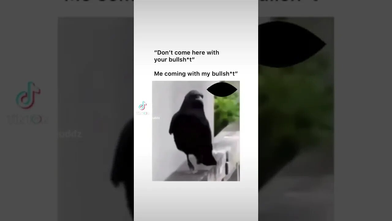 Don't come here with your bullsh