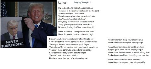 NEVER SURRENDER-TRUE PATRIOTS-TRUMP 2024