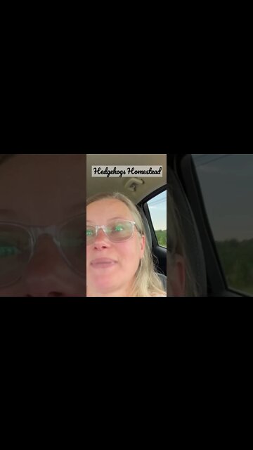 Elderberries #Elderberries