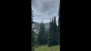 Army chinook fly over