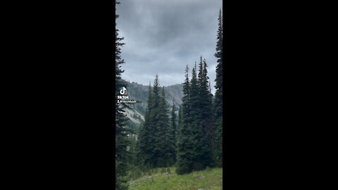 Army chinook fly over