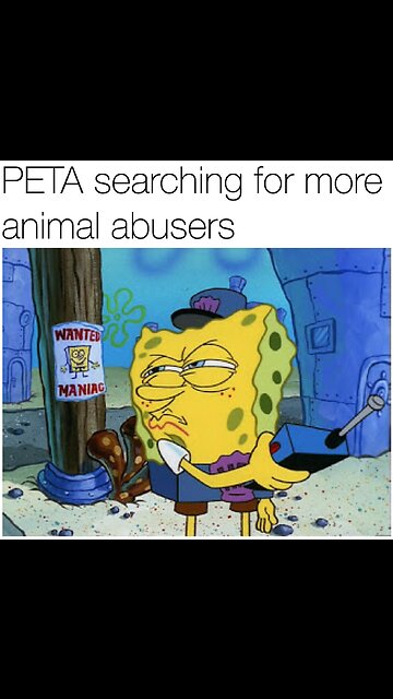Normal twitter experience 10 (peta edition)