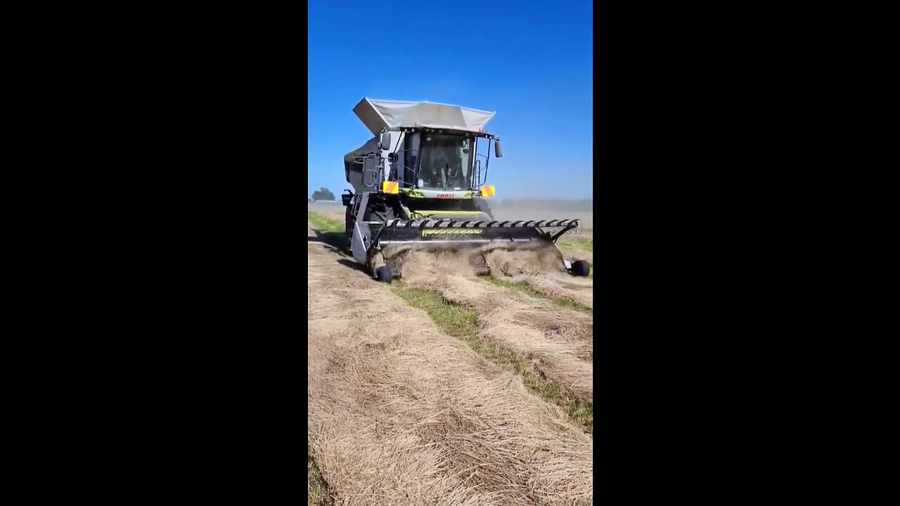 Machine