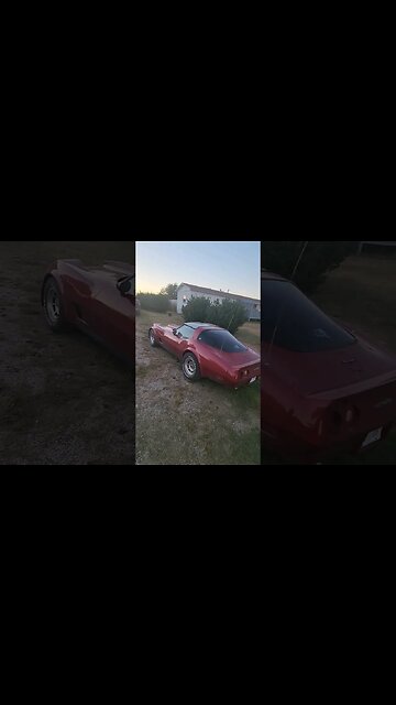 Broken Toys #ratrod #hotrod #corvette #veteran #loveyourjourney