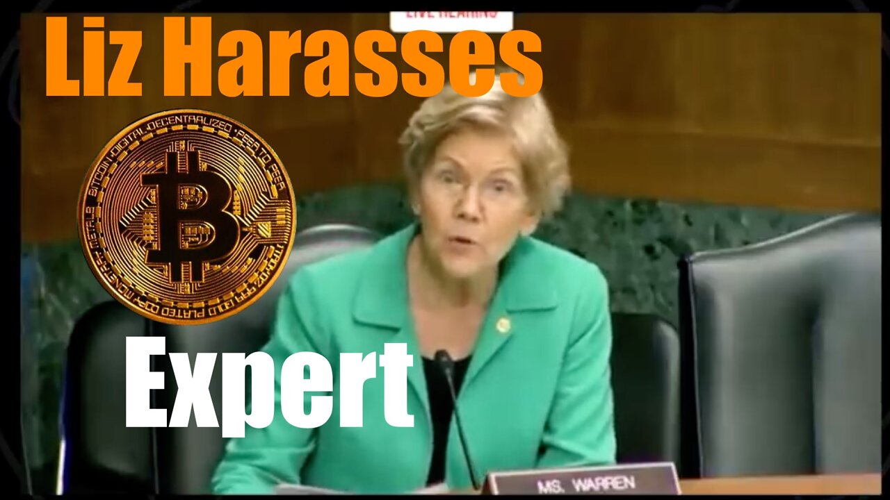 Liz Warren Harasses Crypto Currency Expert in Dreams of Shutting Down Bitcoin