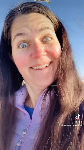 #humor #tamararoseblodgett