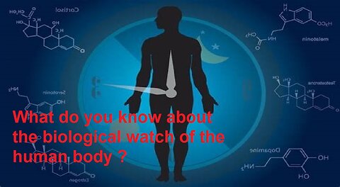 What do you know about the biological watch of the human body ?