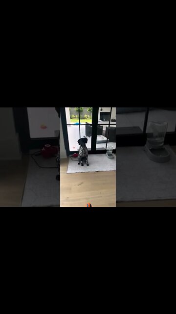 QUANDO VOCÊ FICA COM RAIVA🤣🤣🤣