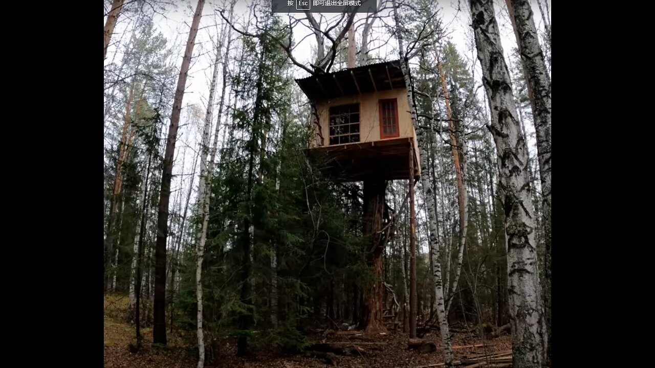 BUILT A TREE HOUSE WITH MY OWN HANDS - WALLS, ROOF, WINDOW and DOOR