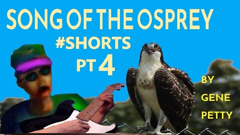 Song Of The Osprey Pt 4 By Gene Petty #Shorts