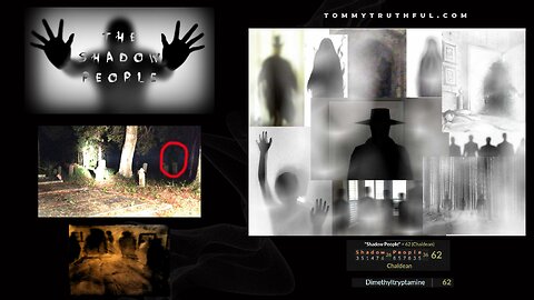 Strange Shadow People Terrorize Humans Reptilians Or Demons?