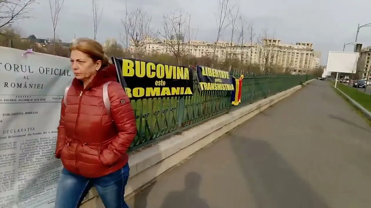 Zelinsky nu uita Bucovina nu este a ta.(2)