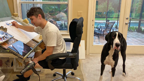 Funny Great Dane Offers Opinion About Horse Painting Lessons