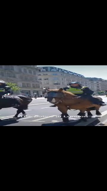 The police in london #metpolice