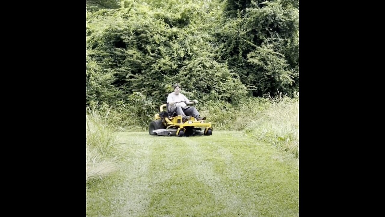 Wes Prepares for the Transfer of Honeybees from a Swarm Hive And Takes Us Along!