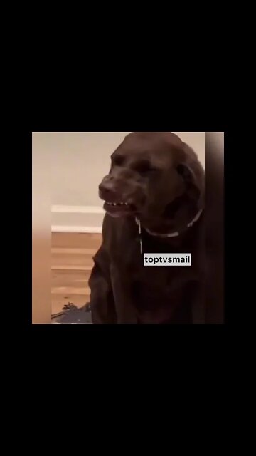 SE RIR JÁ SABE😂(se inscreve no canal)