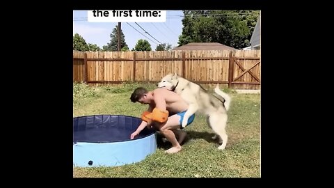 Funny Animal Videos 2022 😂 - Best Dogs And Cats Videos😂