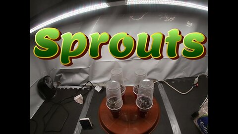 Week 0 Photoperiod Grow (Sprouts, Low Germination)