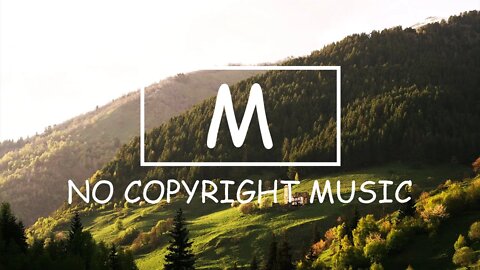 Dark Step - Silent Partner（Mm No Copyright Music）