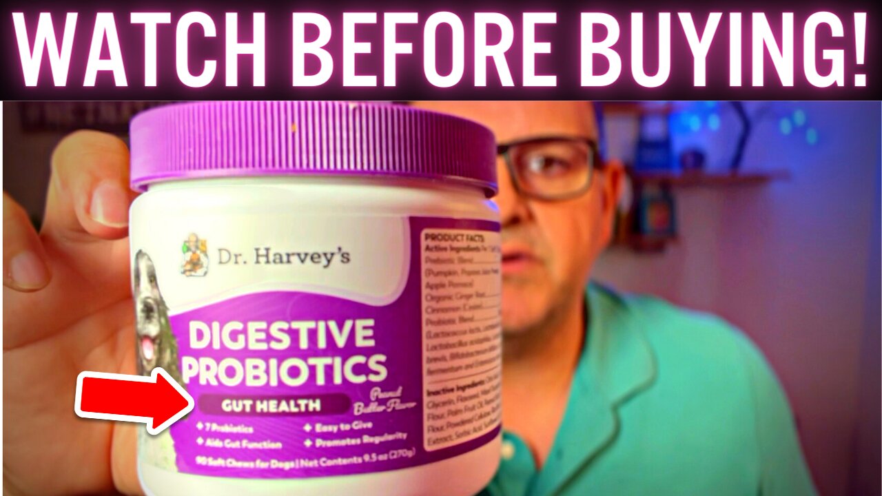 Best Dog Gut Health Chew? Dr. Harvey's Digestive Probiotic Soft Chews (Complete Review)