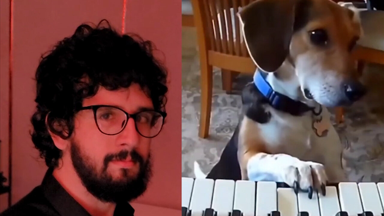 piano dog