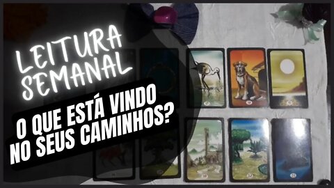 🔮Leitura Semanal✨🍀💲💖 O que vai acontecer nos próximos 7 dias? ✨O que está vindo nos seus caminhos?✨