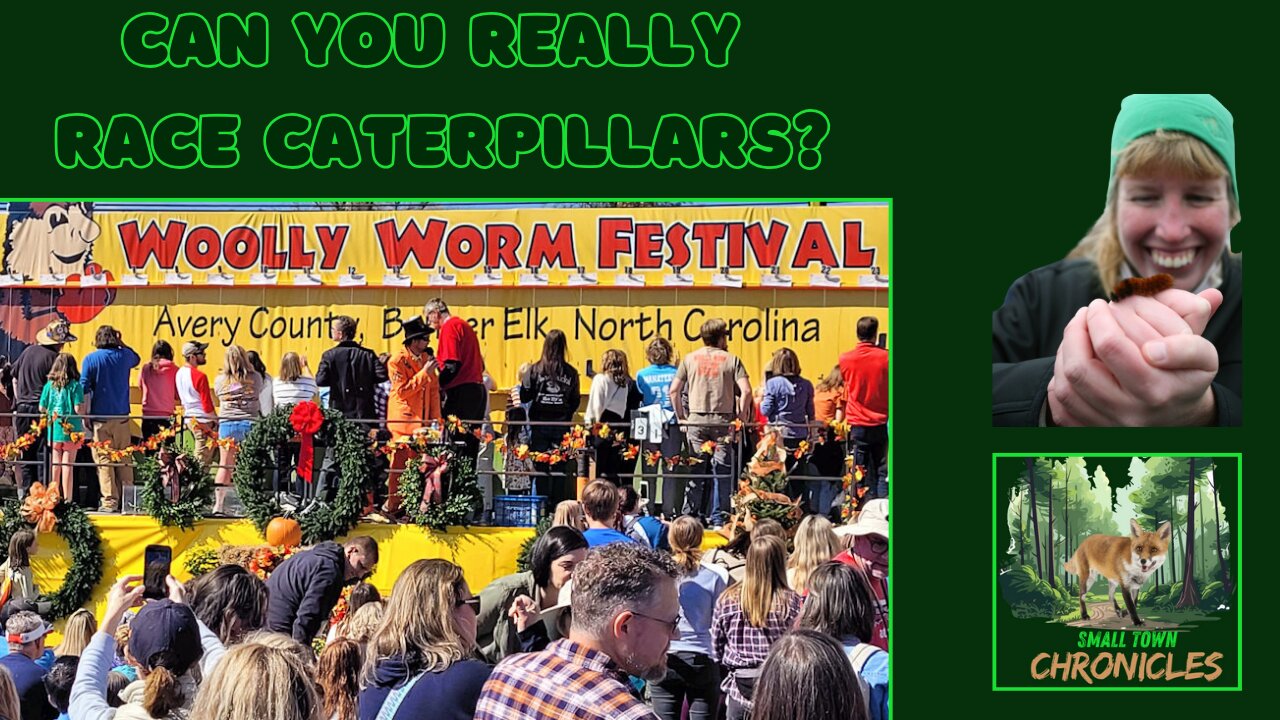 Exploring the Woolly Worm Festival: Banner Elk's Charming Tradition | Small Town Chronicles