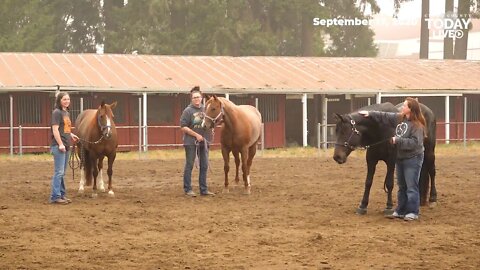 Laughter every day:' Oregon evacuees grateful for Clark County Fairgrounds landing spot