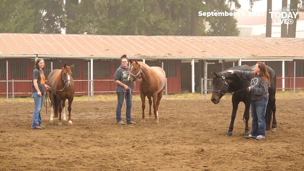 Laughter every day:' Oregon evacuees grateful for Clark County Fairgrounds landing spot