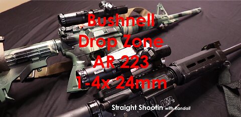 Review Bushnell Drop Zone 223 1-4x 24mm