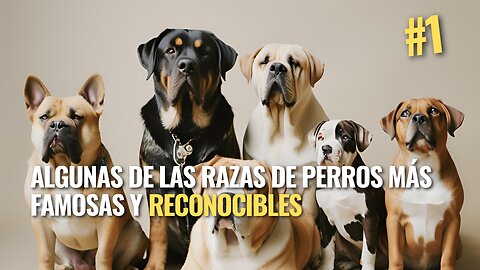 Algunas de las razas de perros mas famosas