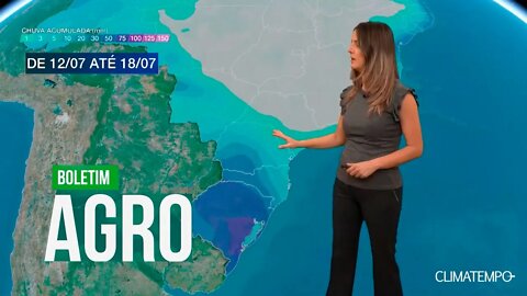 Chuva volta a dificultar plantio do trigo no RS - Boletim Agro