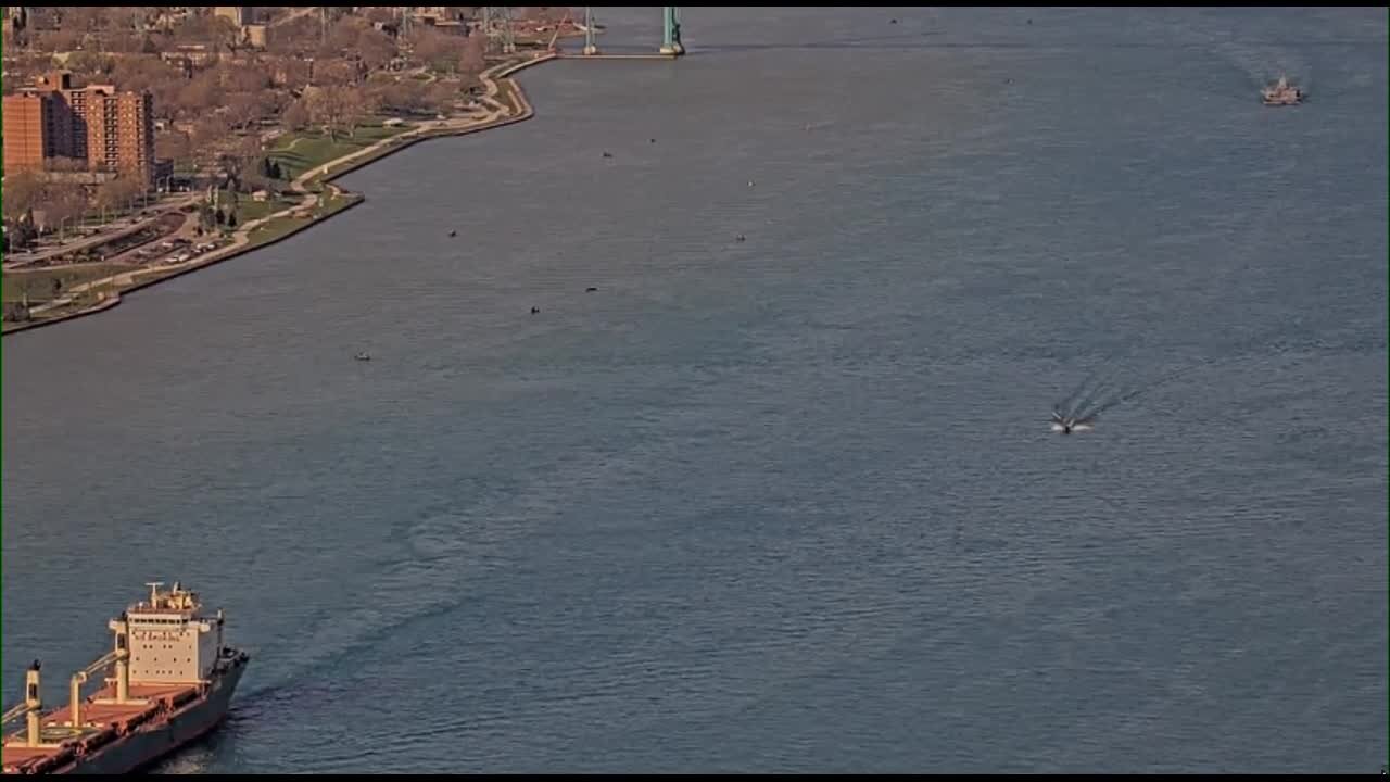 A barge cruises by on the Detroit River