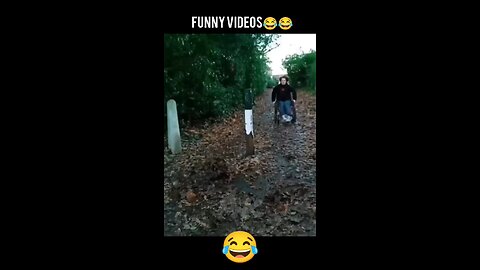Funny videos of the day