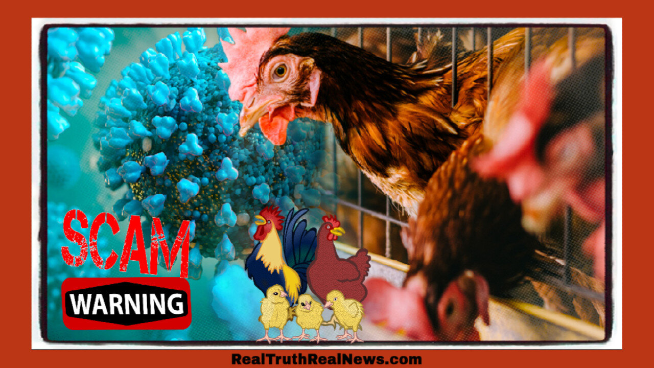 🐔🐄 H5N1 Bird Flu: Separating Fact from Fiction/Scam ~ Do NOT Cull the Livestock! Massive Threat to Our Food Supply! * Links Below 👇