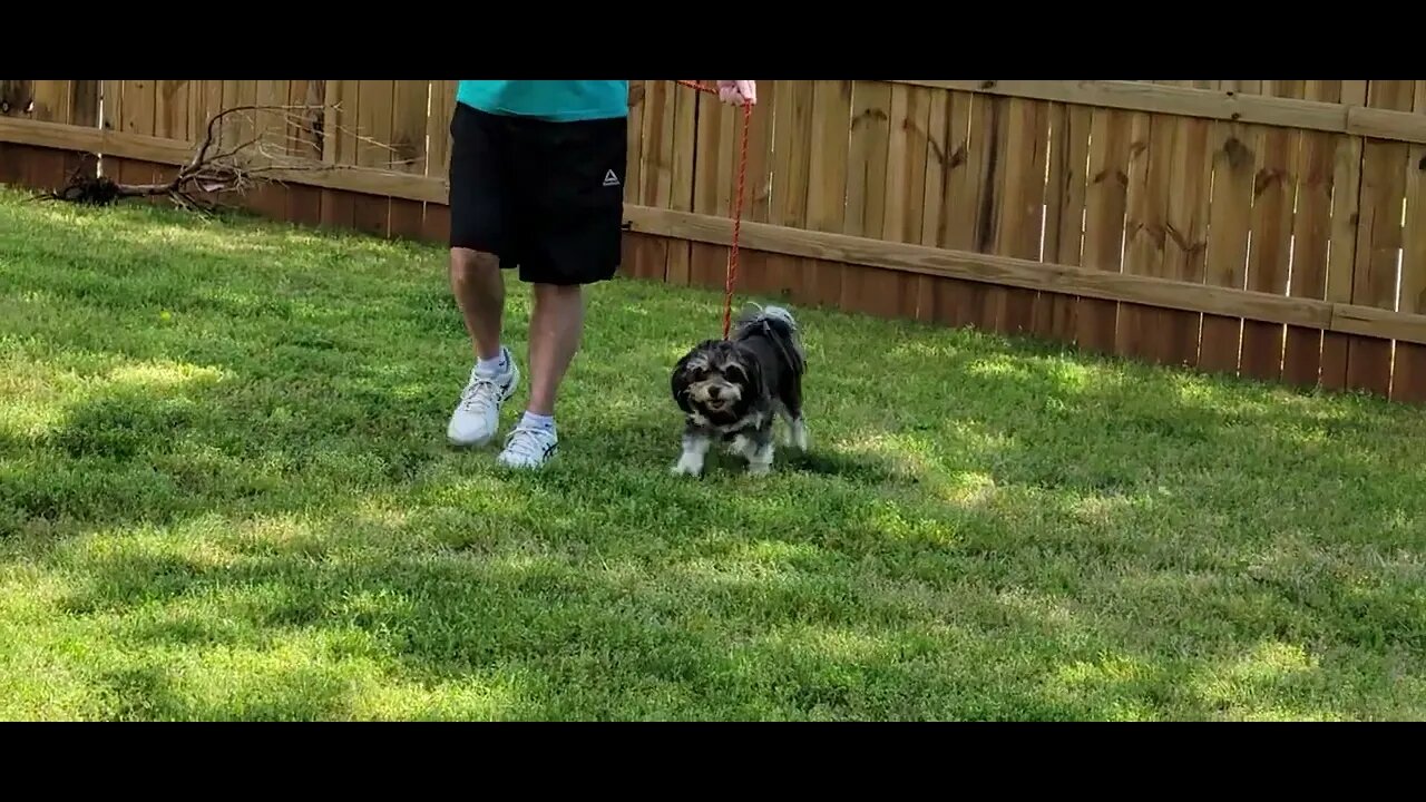 Raynah Walking In Yars